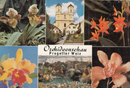 ZS44512 Pregetter Orchideen Weiz    2 Scans - Weiz