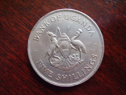 UGANDA 1968 FAO COIN PLAN "PRODUCE MORE FOOD" Issue Of FIVE SHILLINGS. - Ouganda