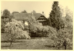 Thurgauer Heimet Im Frühling                 Ca. 1950 - Autres & Non Classés