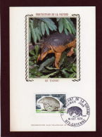 1819 -  Tatou Géant De La GUYANE  à   CAYENNE. 973  -  Carte 1er  Jour  Le  19  - 10  -1974 - Altri & Non Classificati