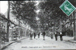 45 - BRIARE  - COMICE AGRICOLE 1910 - BOULEVARD DE LA GARE - Briare