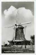 FORMERUM ~ Terschelling (Friesland) - Molen/moulin - Achtkante Stellingmolen In 1959 Vóór De Omvorming Tot "Koffiemolen" - Terschelling