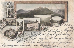 CPA STARKENBERG- MANSIONS, LAKE, MOUNTAINS - Altenburg