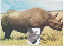 Portugal 2001 Fauna Rhino Rhinoceros Animal Mammal - Rhinozerosse