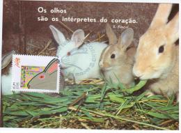 Macau Macao 1999 Fauna Rabbit Hare Animal Mammal - Conejos