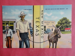 Texas And New Mexico--Cantile Company And Bank--cancel No Year--PJ156 - Otros & Sin Clasificación