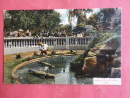 El Paso,TX--Alligators In San Jacinto--cancel 1908--PJ157 - Andere & Zonder Classificatie