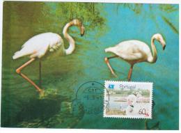 Portugal 1991 Fauna Flamingo Bird Birds - Flamencos