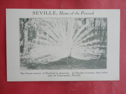 Clearwater,FL--Seville Home Of The Peacock--not Mailed--PJ159 - Clearwater