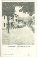 CARTOLINA - BALANGERO - INGRESSO DEL PAESE -  VIAGGIATA NEL 1906 - RARA - Panoramic Views