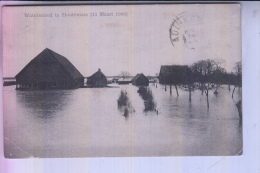 NL - ZEELAND - HULST - HONTENISSE, Waternood 1906 - Hulst