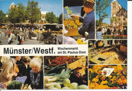 PK-CP Deutschland, Münster Westf. Wochenmarkt, Gebraucht, Siehe Bilder!*) - Münster