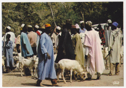 8 CPM - AFRIQUE EN COULEURS  - Pêche - Marchés, Personnages - SUPERBES... - Non Classificati