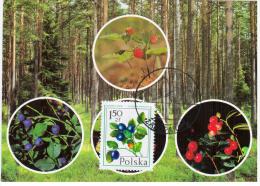 Poland 1990 Bilberry Berry Berries Flora Plants In Zakopane Canceled - Cartes Maximum