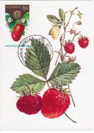 Poland 1986 Strawberries Berry Berries Flora Plants In Wierchomla Wielka Canceled - Maximumkarten