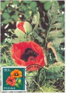 Poland 1986 Poppy Poppys Flower Flowers Flora Plants In Nowy Sacz Canceled - Maximum Cards