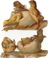 DECOUPIS  OISEAUX ET OISILLONS  (lot De 2)  = - Dieren