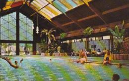 Minnesota Minneapolis Curtis Hotel Tropical Swimming Pool - Minneapolis