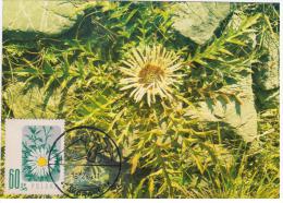 Poland 1984 Carlina Acaulis Carline Tatry Flower Flowers Flora Plants In Zakopane Canceled - Maximum Cards