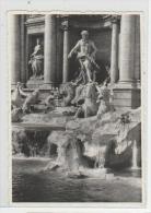 Italy - Roma - Fontana Di Trevi - Photo 100x70mm - Fontana Di Trevi