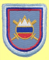 SLOVENIA, SLOVENIAN  ARMY PATCH, AIR FORCE,  COAT OF ARMS - Escudos En Tela