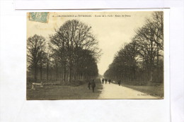 28 - Chateauneuf-en-Thymerais - Entrée De La Foret - Châteauneuf