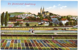 Quedlinburg, Blumenstadt, Blick Auf Die Blumenfelder, Um 1910 - Quedlinburg