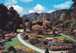 CPSM CANADA @ VICTORIA @ The Butchart Gardens @ Sunken Garden - Victoria