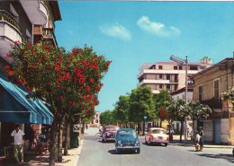 PORTO SAN GIORGIO - Fermo