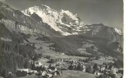 SVI077 - Wengen - Jungfrau - Silberhorn U. Schwarz Mönch - Wengen