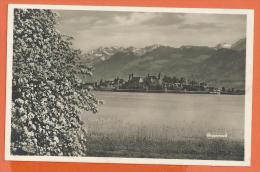 HA305, Rapperswil, 2929,  Circulée 1923 - Rapperswil-Jona