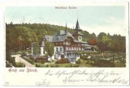Zürich - Waldhaus Dolder            1901 - Wald
