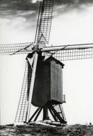 GELRODE Bij Aarschot (Vlaams-Brabant) - Molen/moulin - De Moedermeule In 1976 (jaar Van De Restauratie). - Aarschot