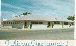 Florida Clearwater Beach Pelican Restaurant - Clearwater