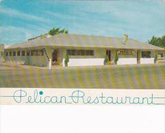 Florida Clearwater Beach Pelican Restaurant - Clearwater