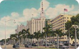 Florida Miami Biscayne Boulevard With Bayfront Park Hotels - Miami