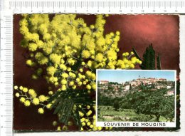 MOUGINS -   Souvenir - - Mougins