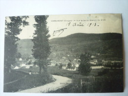 CORNIMONT  (Vosges)  :  Vue Prise Du Chemin Du Droit - Cornimont