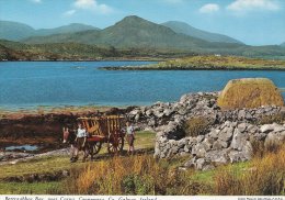 Bertraghboy Bay,near Carna,Vonnemara,Co. Galway   Ireland  # 0515 - Clare