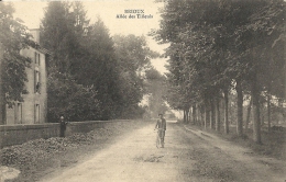 Deux-Sèvres- Brioux -Allée Des Tilleuls. - Brioux Sur Boutonne