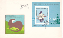 PELICANS,PELECANUS ONOCROTALUS,1980 ,COVER FDC,ROMANIA - Pelikanen