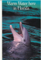PK-CP USA, Warm Water Here In Florida, Gebraucht, Siehe Bilder!*) - Fort Myers