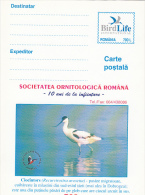 BIRDS, RECURVIROSTRA AVOSETTA, PC STATIONERY, ENTIERE POSTAUX, UNUSED, 2000, ROMANIA - Gabbiani