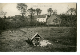 Brehal Lavoir Dans La Prairie - Brehal