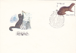 MAMMAL, WOODS, COVER FDC , 1980, RUSSIA - Nager