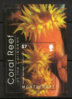 Montserrat 2009 - Coral Reef Of The Caribbean Miniature Sheet MS1434 MNH Cat £8 SG2015 - Montserrat