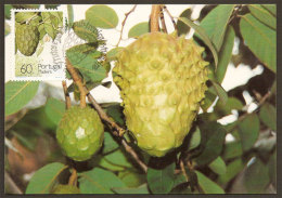 Portugal Madère Annona Carte Maximum 1990 Madeira Annona 1990 Maxicard - Maximumkarten (MC)