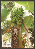 Portugal Madère Banane Carte Maximum 1990 Madeira Banana 1990 Maxicard - Cartes-maximum (CM)