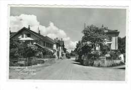 Suisse // Vaud //  Mézières Le Grande Rue - Jorat-Mézières