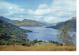 CP - PHOTO - LOCH LOMOND - DUNBARTONSHIRE - J. ARTHUR DIXON - 3551 - THE BONNIE BANKS ARE HERE VIEWWED FROM A HILLSIDE B - Dunbartonshire